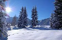 Larchbrunn 2*